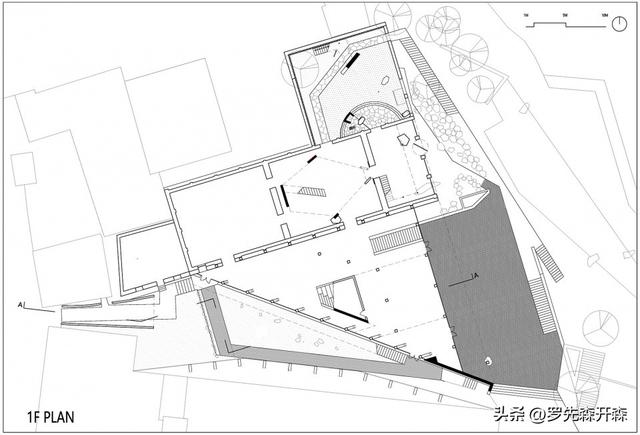 生长于什么地方，楮头红介绍（河南——生长于山水乡镇之间）