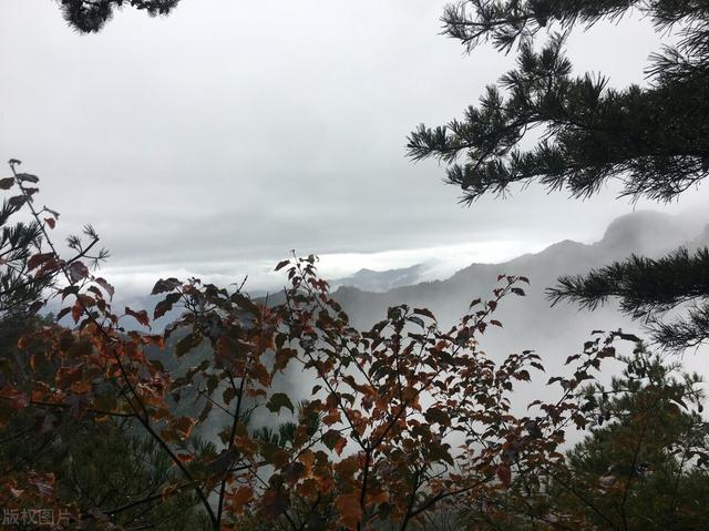 河南有历史文化底蕴的景点，河南14个5A级景区