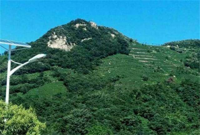 河南好茶推荐，行走河南·读懂中国丨信阳