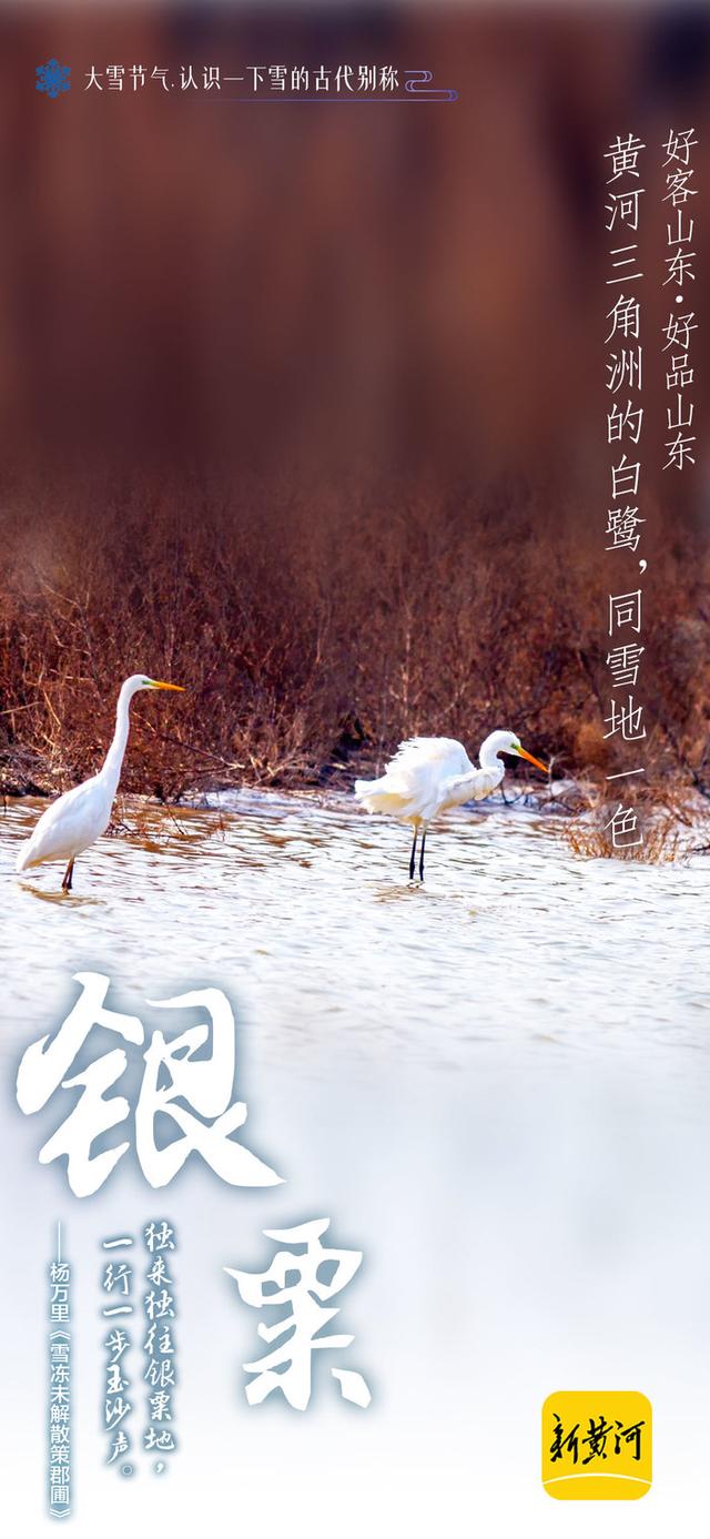 形容雪的四字词语，形容大雪的四字词语（感受山东如诗如画的雪景）