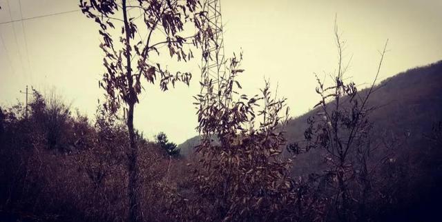 外婆说歌词完整版，外婆说歌词（我的外婆说）