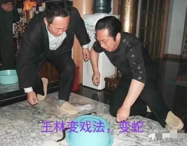 起底大师王林的魔幻人生，王林的境界（“气功大师”王林的传奇人生）