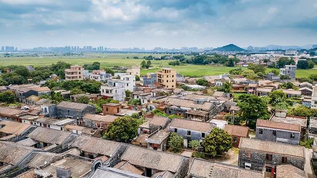 中国海鲜最便宜的地方是哪里，全中国海鲜最便宜的城市（上榜中国最美海岸线）