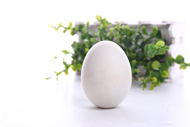 菊花脑的做法，菊花脑凉拌怎么做（外地人：一看就不好吃）