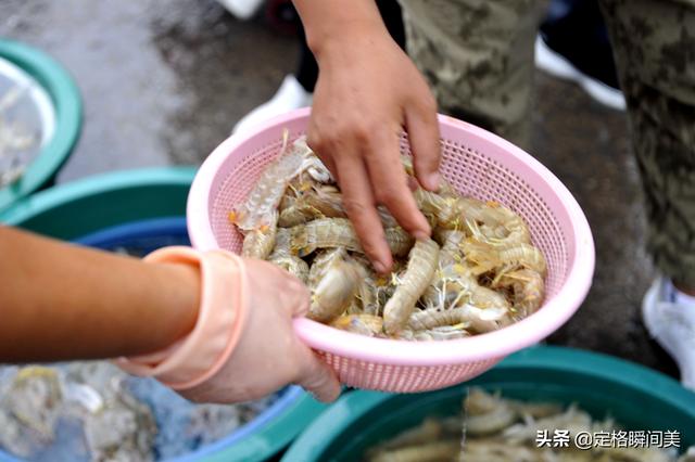 青岛大虾是什么虾，青岛大虾几月份最好吃（海鲜记住“两买两不买”）