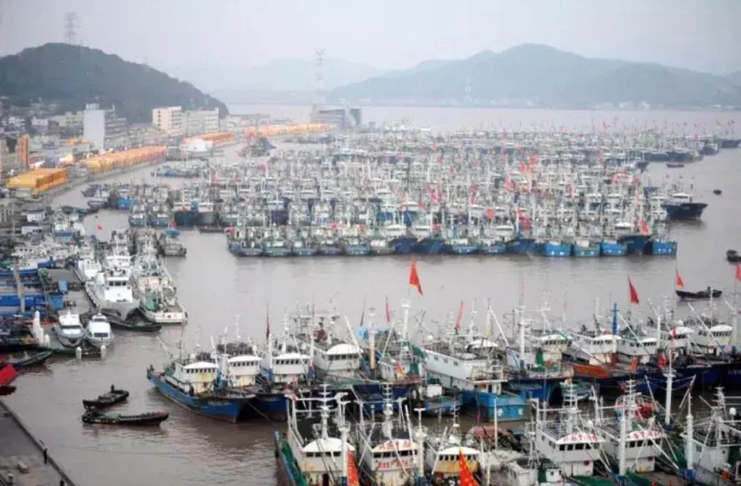 浙江舟山属于哪个市(舟山是几线城市?)