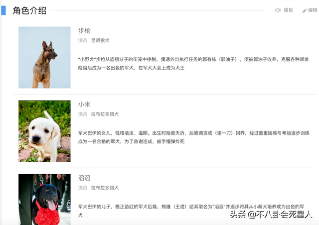 现代军旅电视剧大全集，军旅题材电视剧（《王牌部队》看不下去）