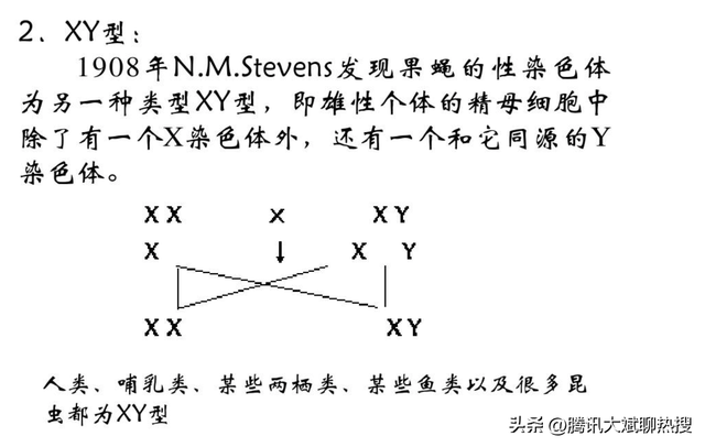 怀男宝的孕妇面相，怀男宝的孕妇面相多长时间可以看出（爸妈的哪些特征最容易遗传给儿子）