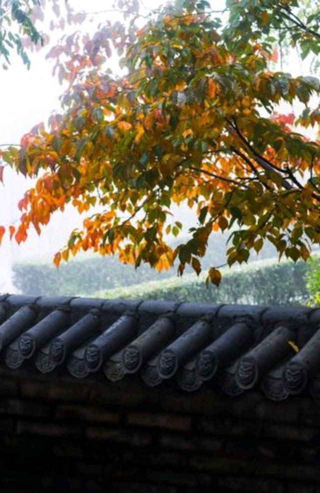 关于秋天的散文，关于秋天的散文精选（是一个适合回忆的季节）