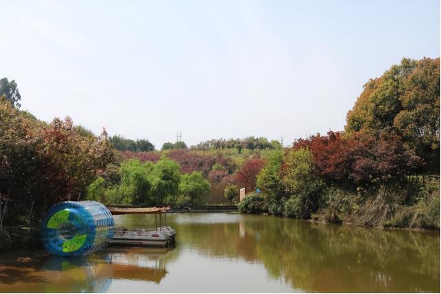 四川宜宾县横江古镇，3月20日-26日宜宾市乡村旅游点综合人气指数排行