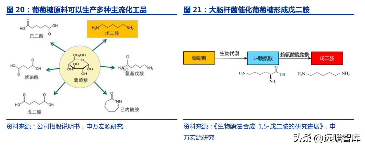 凯赛生物（生物制造引领时代发展）