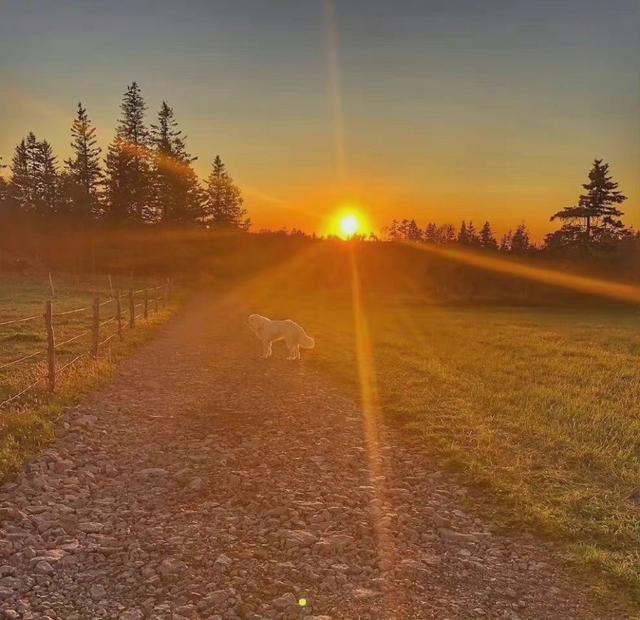 微信状态背景视频，微信怎么做状态背景视频（<有教程和配套农场状态背景图>）