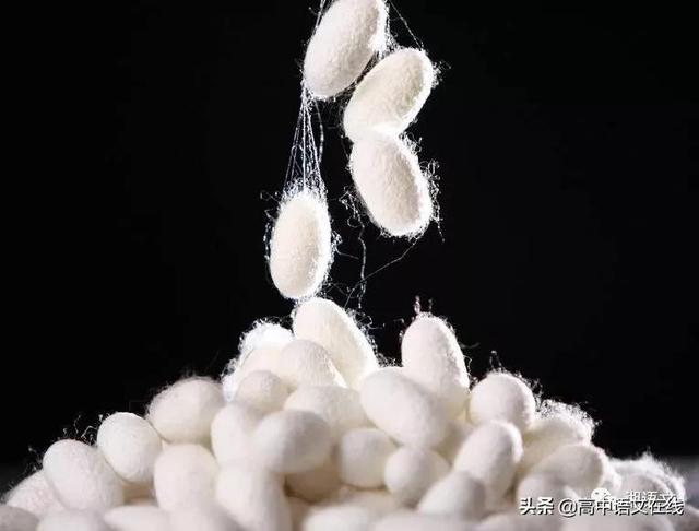 2022年最新给高三学生冲刺鼓励的话 冲刺加油语录，2022年最新给高三学生冲刺鼓励的话（誓词口号、发言稿、作文课件）