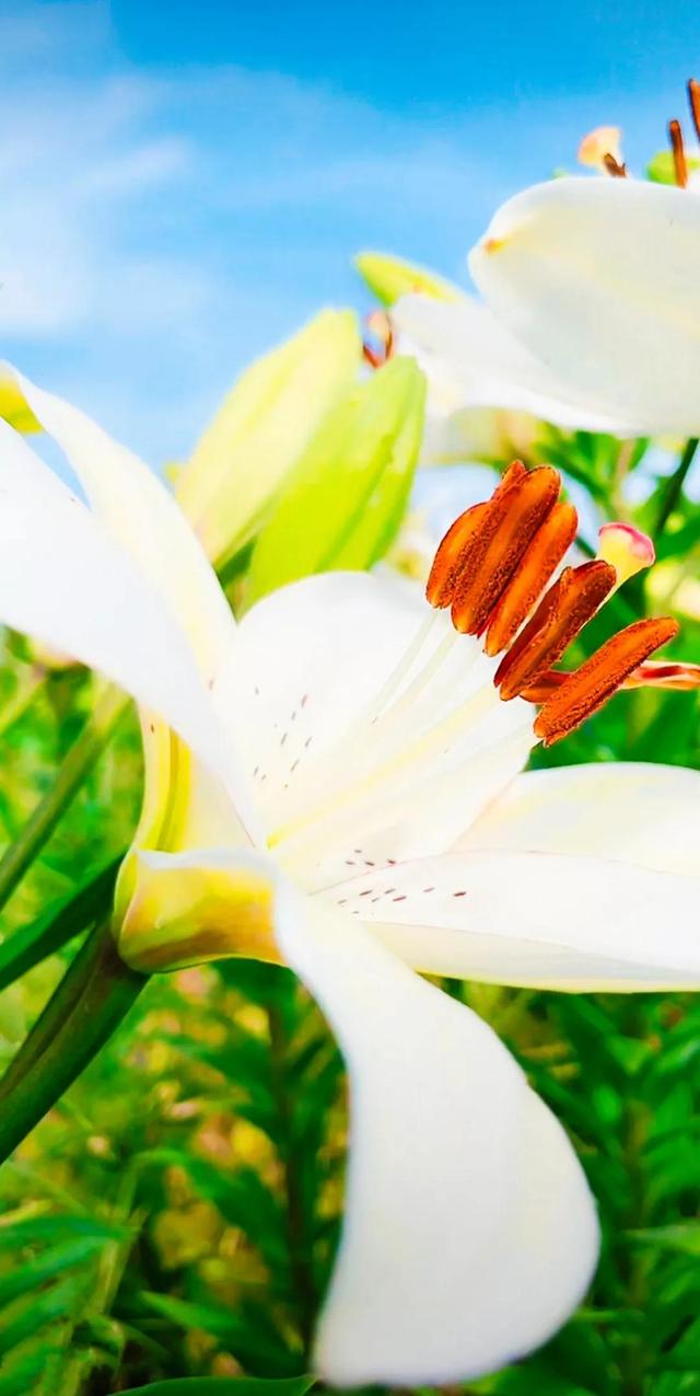 努力的意义是什么，努力的意义是什么图片（女人努力的意义是什么）