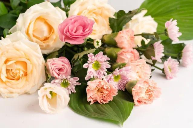 代表友谊的花朵是什么花，代表友谊的花朵是什么花束（七夕情人节你还送烂大街的红玫瑰吗）