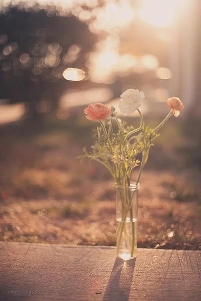 幽默经典短笑话睡前故事，据说此笑话深受女士的喜爱