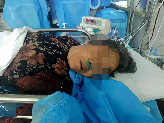 怎么能消除卫生间的蛾蚋幼虫，卫生间蛾蠓怎么根除（它发起飙来医生也怕）