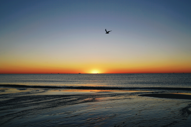 张震岳的《玩乐令》 歌词，张震岳的《玩乐令》（阿那亚，怎么住）