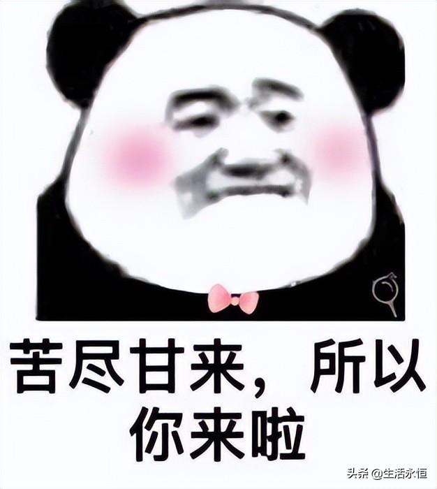 国外聊天软件真正免费（国外免费聊天软件最火app）