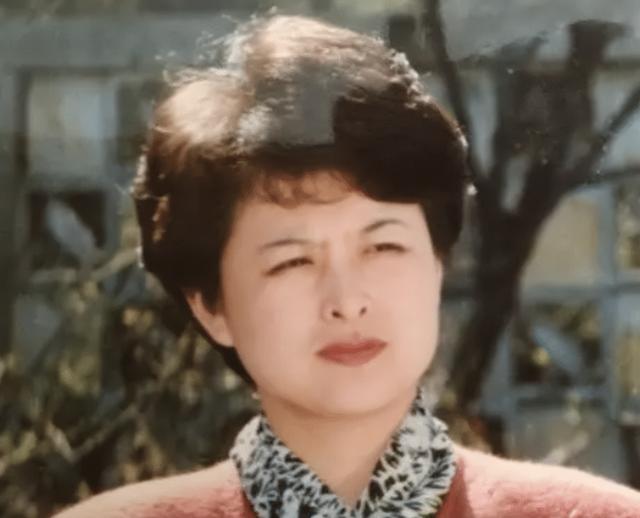 cctv主持人，最美cctv主持人（央视再也见不到的4位主持人）
