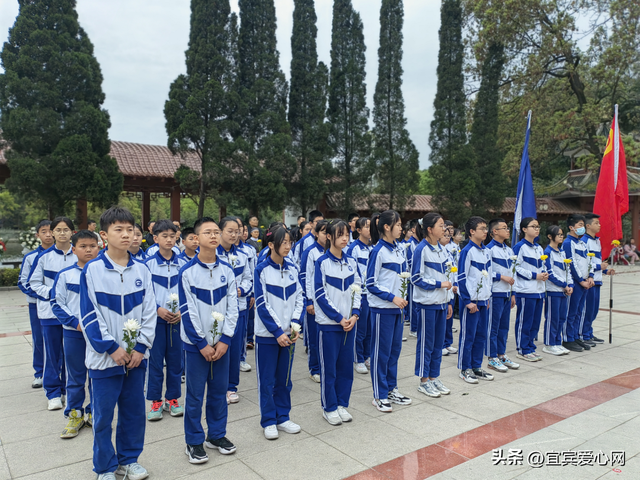 南疆烈士陵园祭英烈，宜宾：清明时节祭英烈