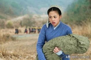 陆贞传奇剧情简介，电视剧陆贞传奇剧情介绍（《陆贞传奇》怕疼的何丹娘）