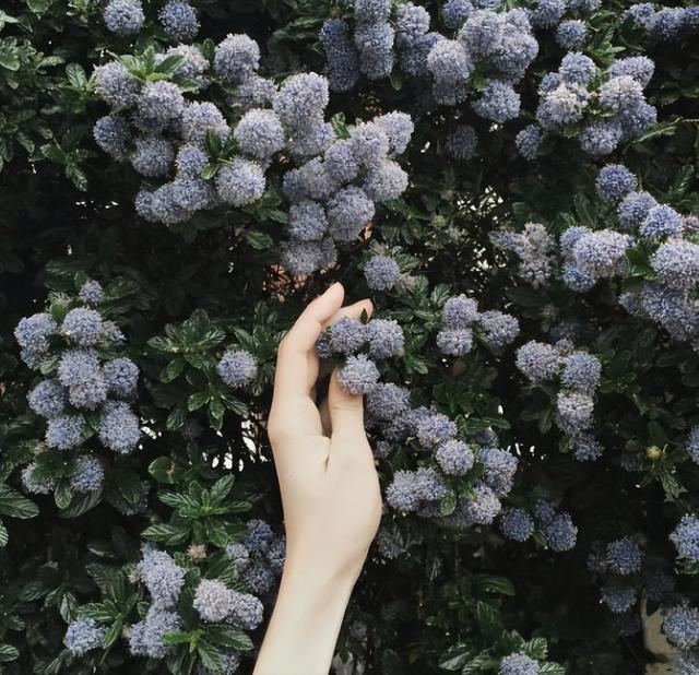 名家散文美句摘抄赏析，名家散文摘抄加批注（朱自清的十条精辟语录）