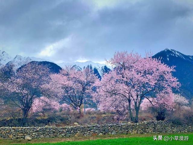 春天最适合旅行的地方，我在这3个地体验到了