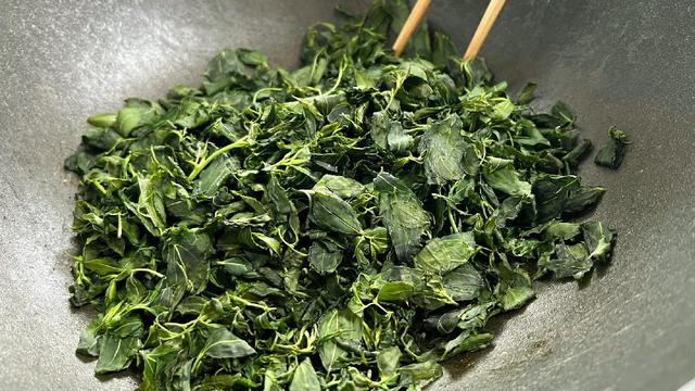 酸枣芽怎样制成茶叶，怎样自制酸枣叶茶（遇到这叶子别手软）
