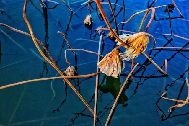 人穷的句子怎么写发朋友圈，穷发个朋友圈怎么说（怎样用一句诗词说明“我很穷”）