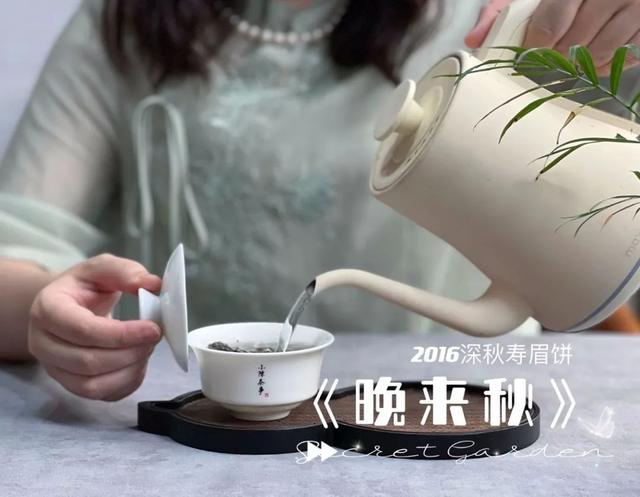 白茶和老白茶的区别是什么，老白茶和白茶一样吗（再也不怕受骗上当了）