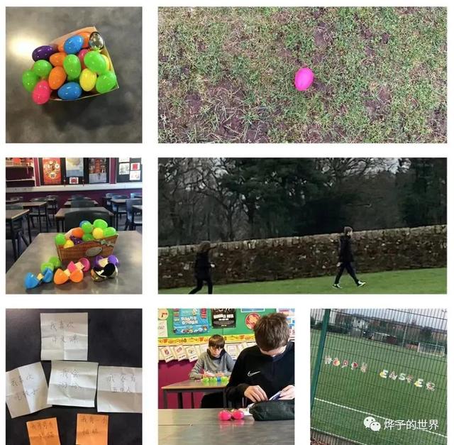 复活节兔子的由来，兔子能活多少岁（跟我一起了解英国复活节的传统）