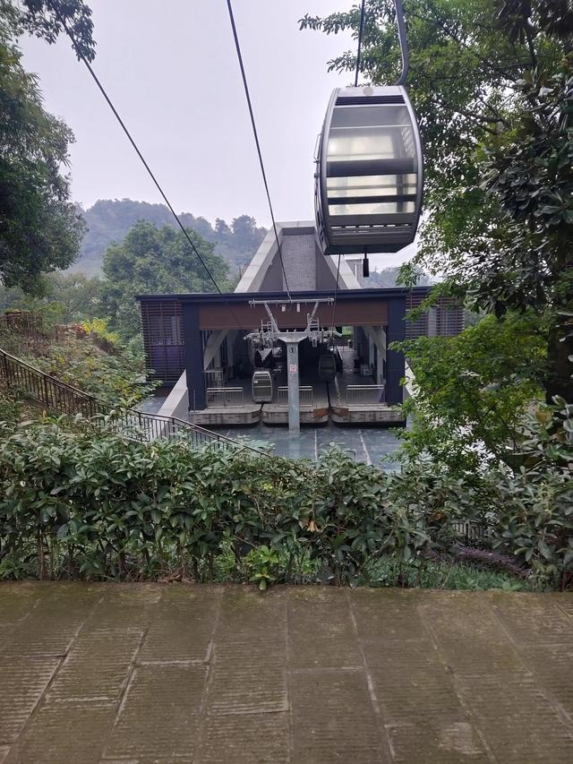 歌乐山森林公园，重庆旅游必去景点（歌乐山国家森林公园）