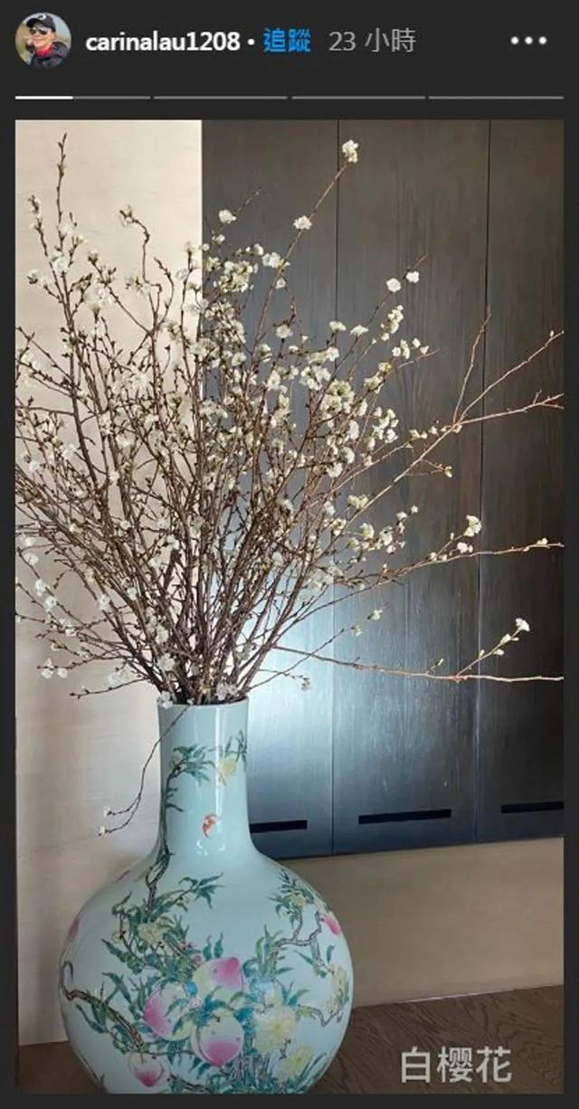 刘嘉玲身价多少亿，刘嘉玲个人简历（同进同出情胜母子）