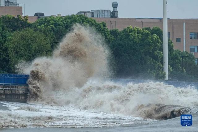 钱塘江入海的地方叫什么湾，钱塘江入海是什么海（世界潮我看丨农历八月十八日）