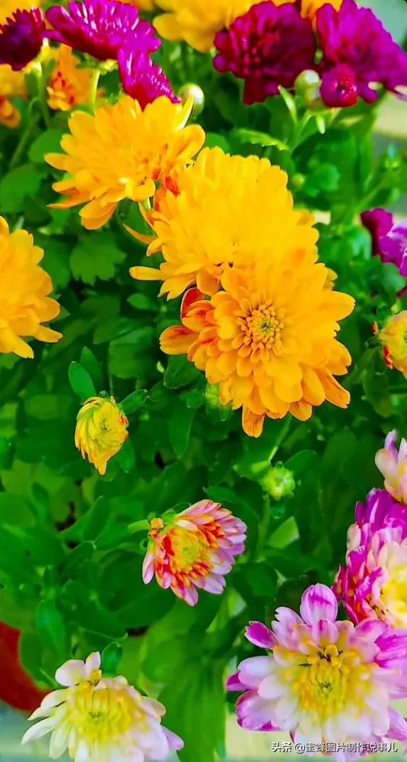 美美美的，美美美的表情包（壁纸美图）