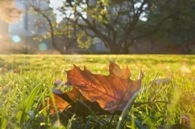 外婆说歌词完整版，外婆说歌词（我的外婆说）