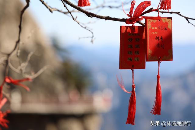 洛阳老君山风景区旅游攻略，洛阳老君山风景区旅游攻略图（这份保姆级攻略请收好）