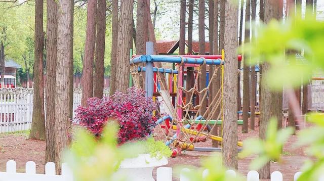 玫瑰花什么时候开，玫瑰花一般在什么时间开花（香草伊甸园玫瑰花开正艳）