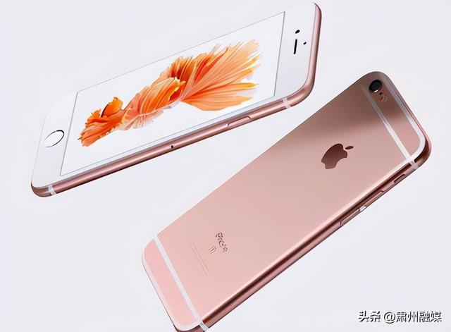 手机pro是什么意思，手机的型号pro是什么意思（手机型号的Pro、Plus、Mate都是什么意思）