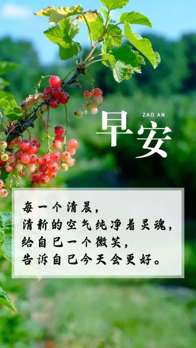 积极阳光带字图片图片