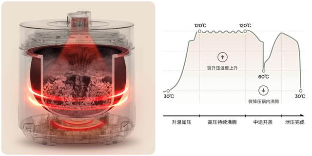 电压力锅炖排骨，电压力锅炖排骨做法（攻略+横评+实测）