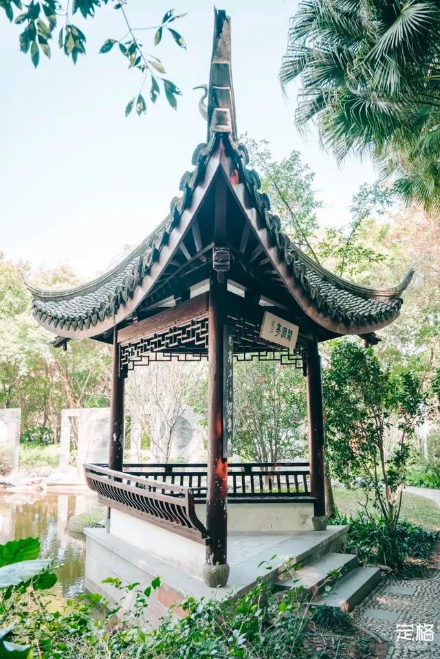 深圳好玩的免费景点，深圳哪里好玩的景点（来深圳这10个地方免费玩）