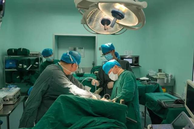 蛾蚋幼虫进入人体怎么办，蛾蚋幼虫会进入人体吗（传染病菌、寄生人体）