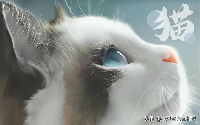 上班恐惧症怎么治，上班恐惧症怎么克服（早上很累想跟领导申请居家办公时的内心恐惧）