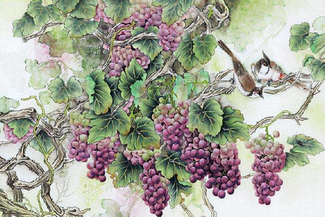 哈密瓜只有中国有吗，中国哪里盛产哈密瓜（还有哪些水果蔬菜原本来自国外）