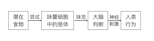 糖，不那么伟大的作品