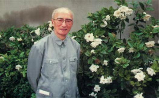 秦文君简介及作品，秦文君：一个清澈、透亮的前辈