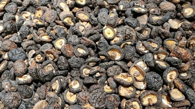 鹌鹑蛋煮多久熟，秋冬季节常给孩子吃