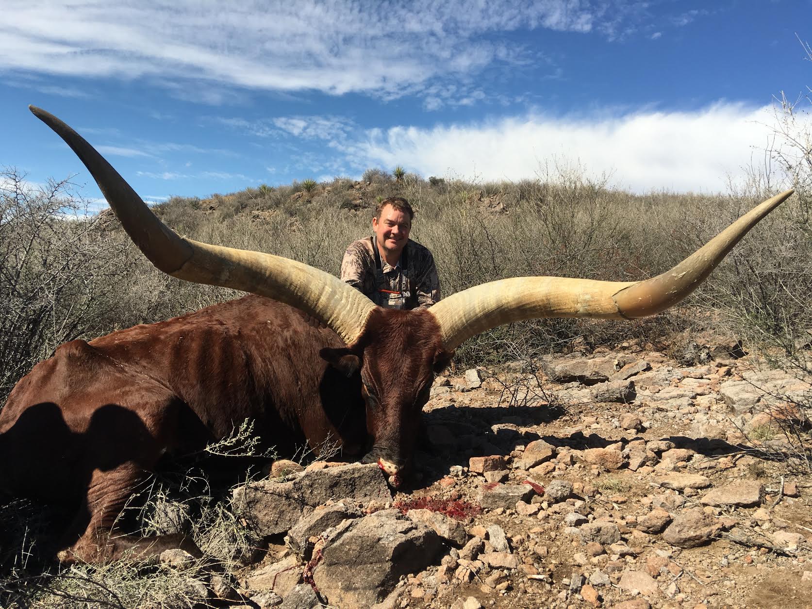 世界上最长的动物是什么动物,盘点3种角最长的动物-生肖-荣耀易学